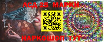 PSILOCYBIN Гатчина