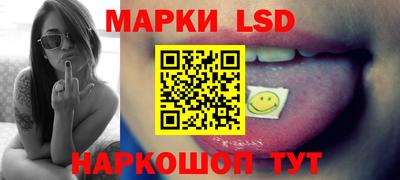 PSILOCYBIN Гатчина