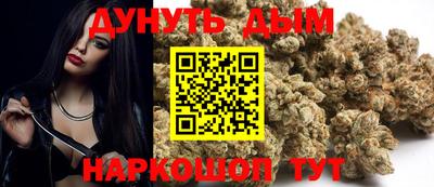 PSILOCYBIN Гатчина