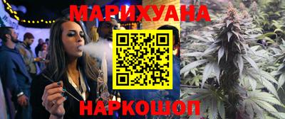 PSILOCYBIN Гатчина