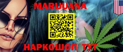 PSILOCYBIN Гатчина