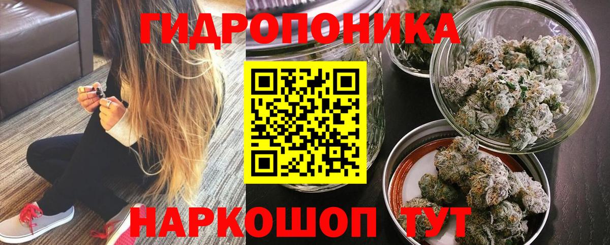 Шишки марихуана планчик Жуковский
